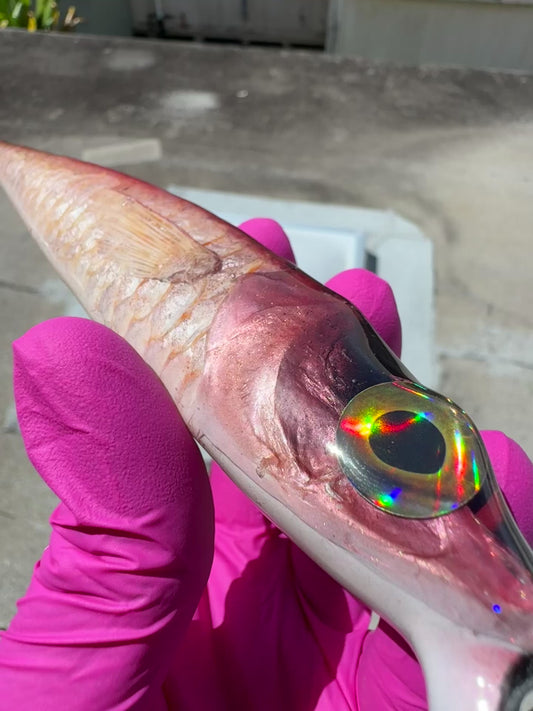 95g Menpachi Jerkbait